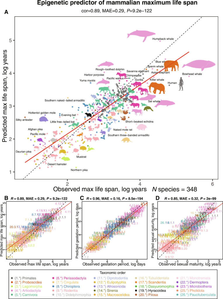epigenetic predictor
